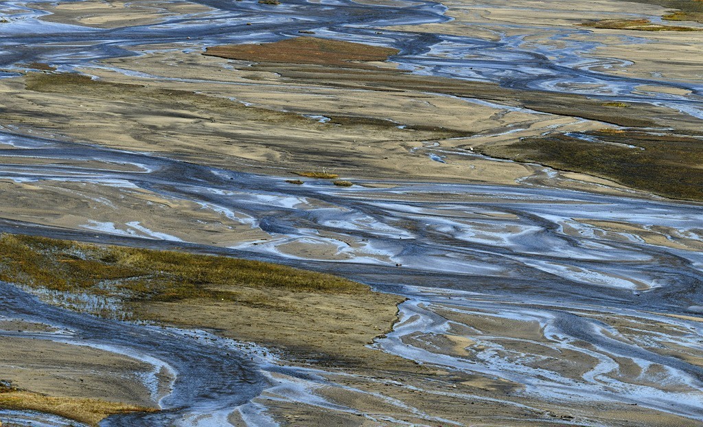 游离了很久发几片问候好友