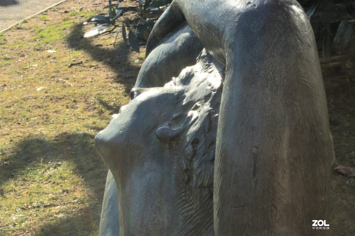 觉醒 Risveglio 1954 瑞士卢加诺