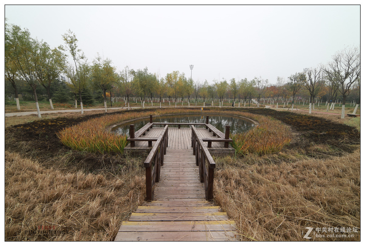 天津橋園冬瑟瑟三陽14mm風景6d風景