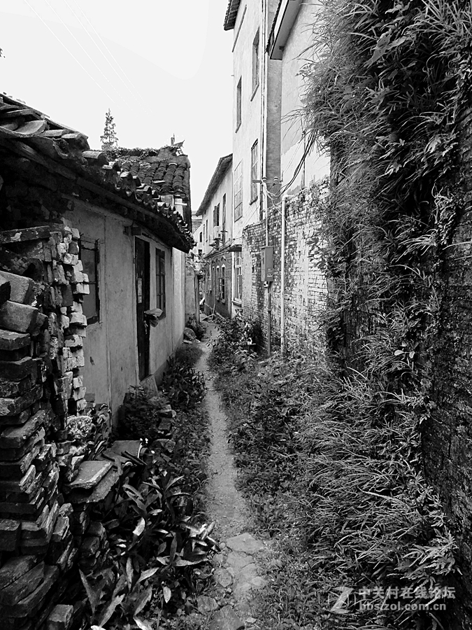 黑白画映 老街故事