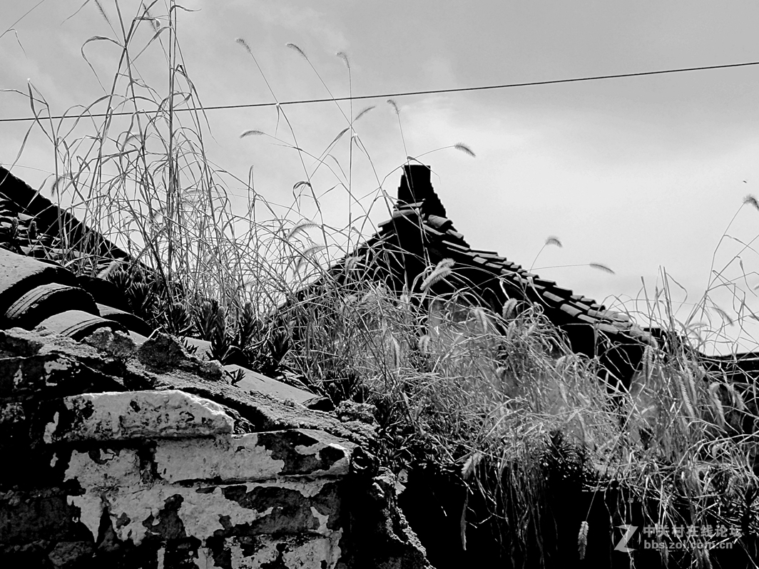 黑白画映 老街故事