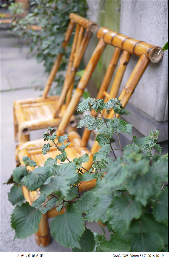 乱发几张黄埔古港的相片
