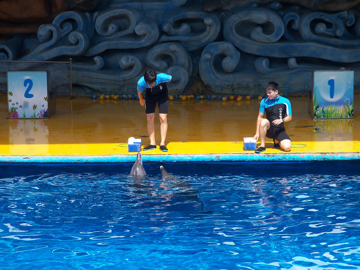 海洋馆里的表演（多图））