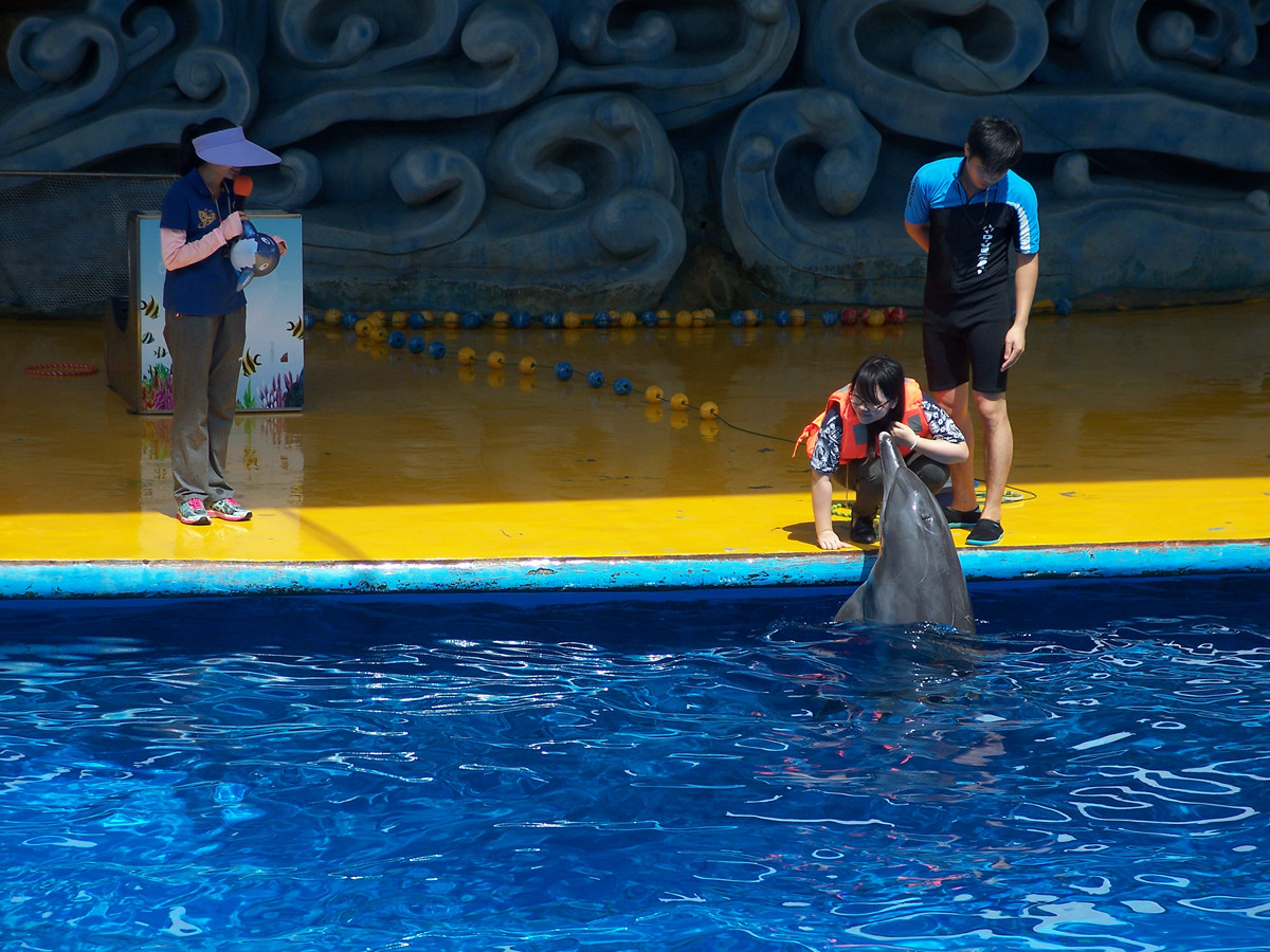 海洋馆里的表演（多图））
