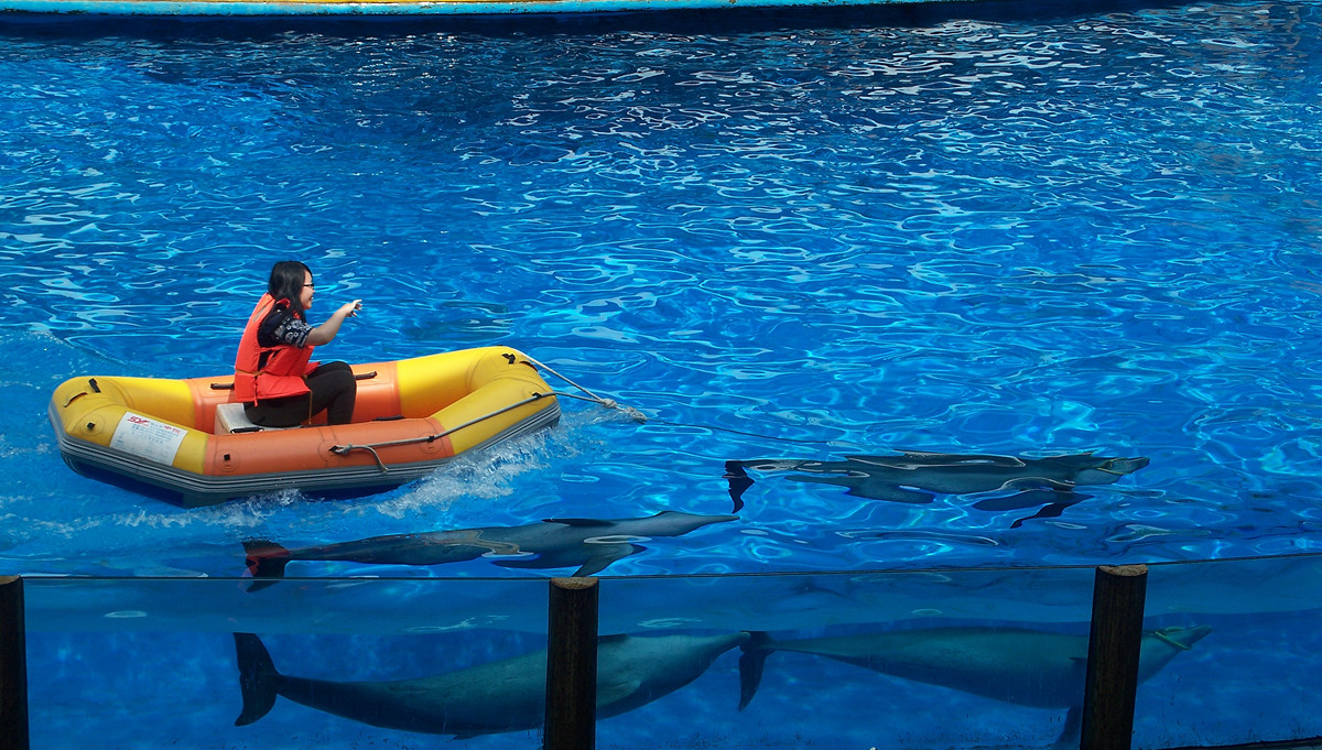 海洋馆里的表演（多图））