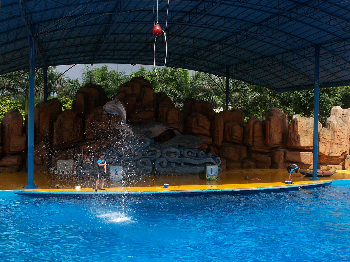 海洋馆里的表演（多图））