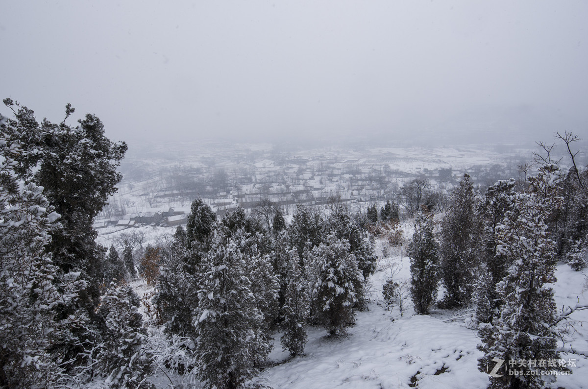 过年巧遇一场雪