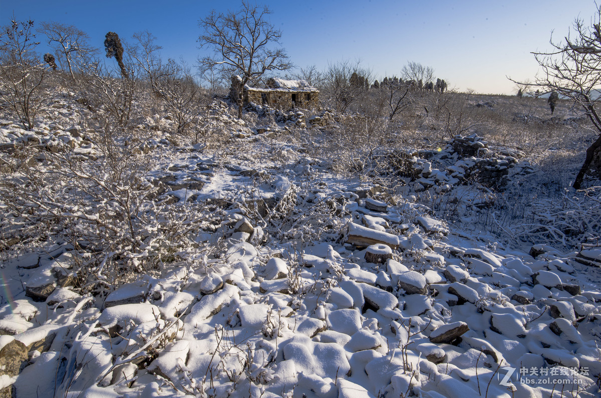 过年巧遇一场雪