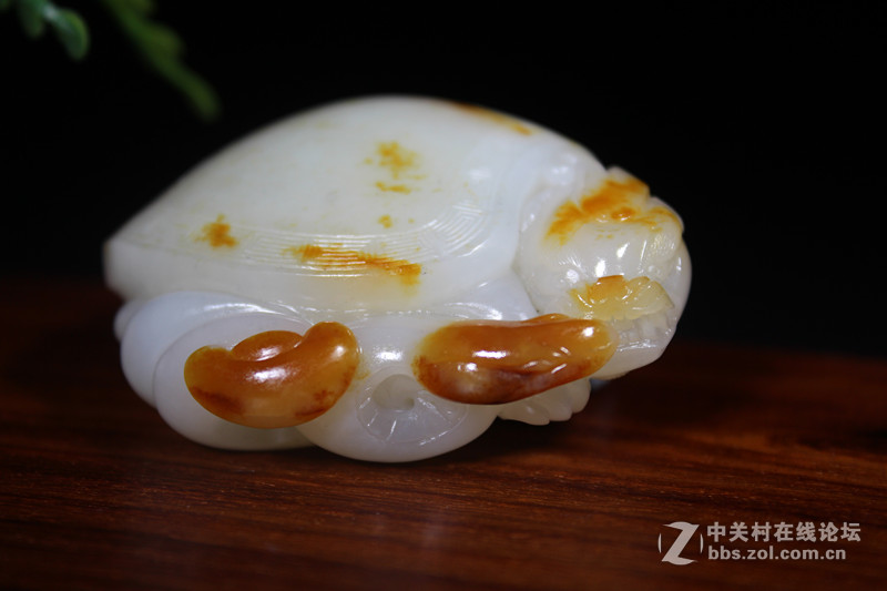 来晒晒宝贝~~有喜欢的朋友们吗！！