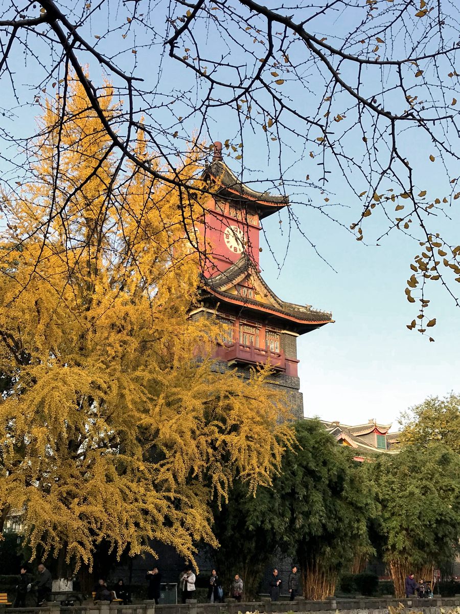 华西校园秋色