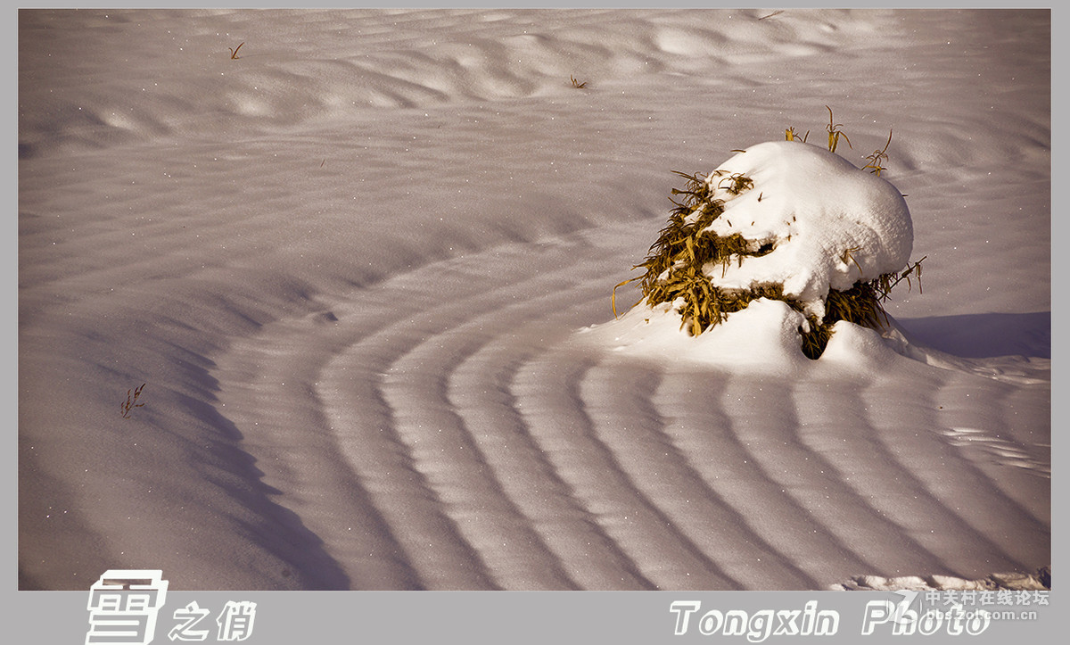#版主坐堂# 小五星空(中国)2016年1月精品荟萃