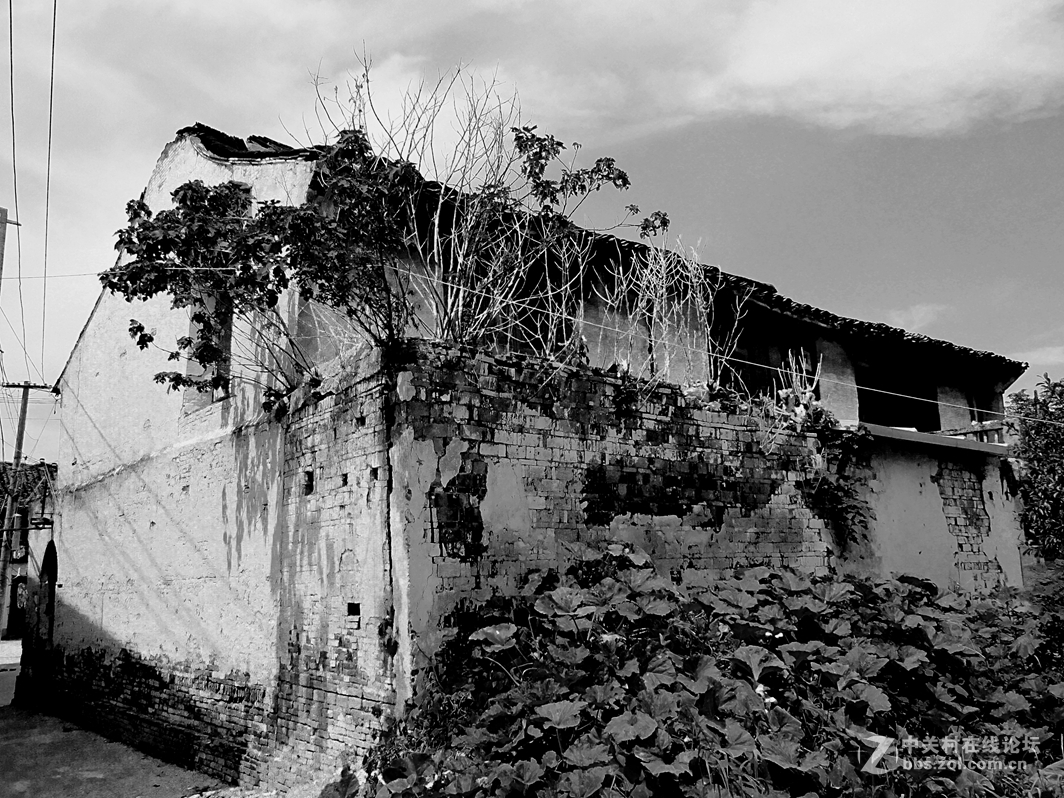 黑白画映 老街故事