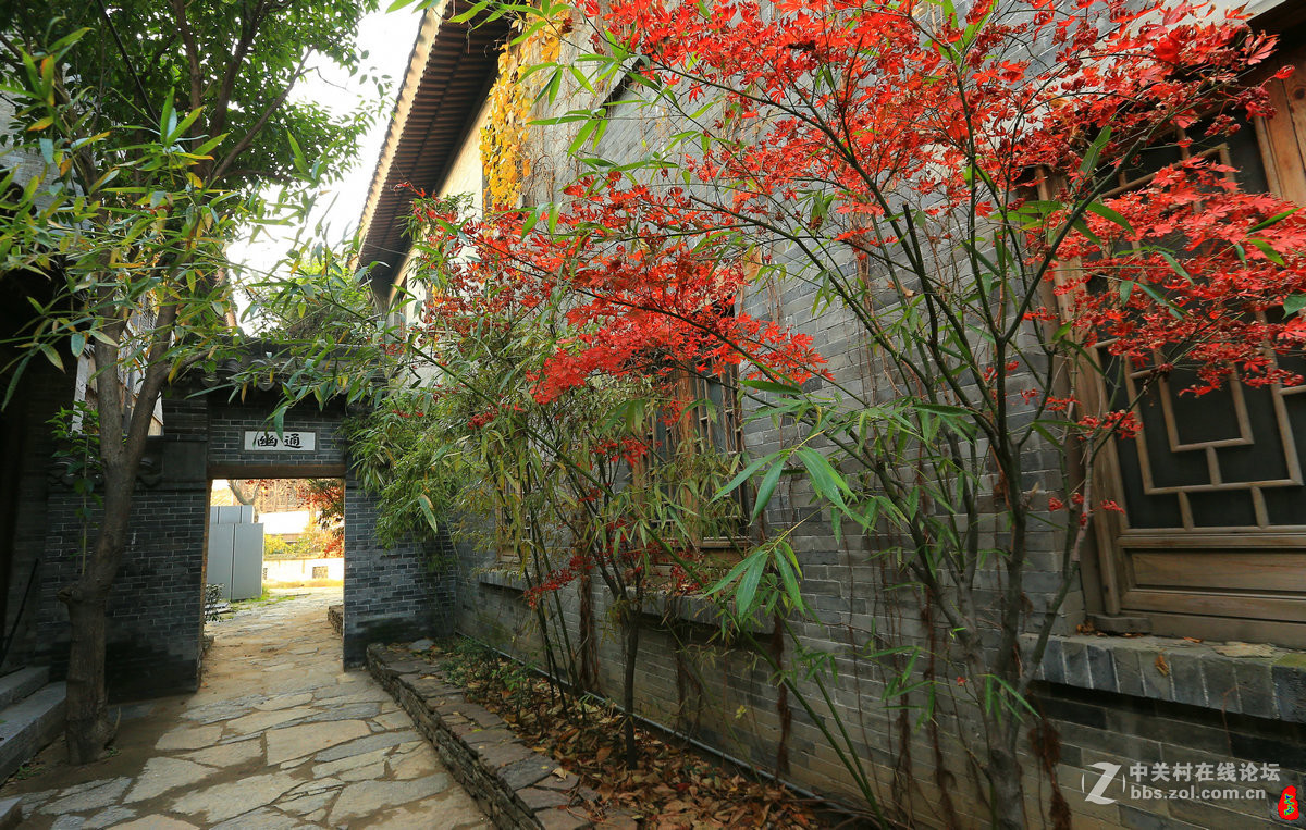 台儿庄古城街景