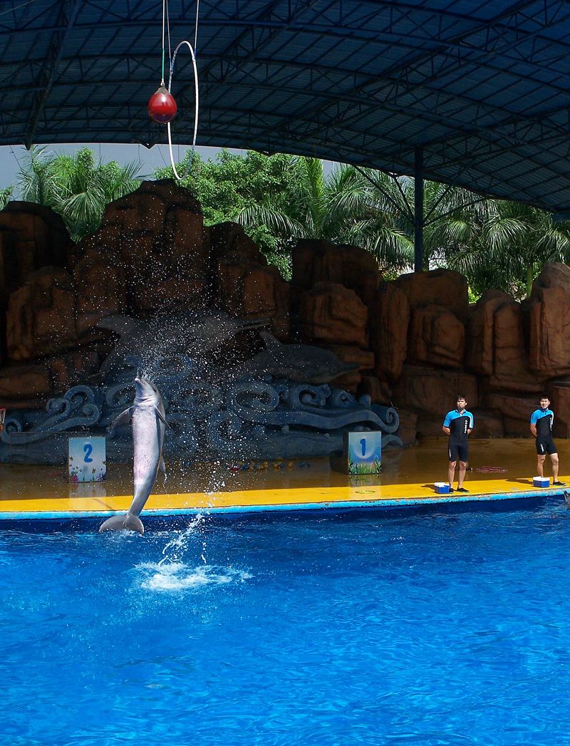 海洋馆里的表演（多图））