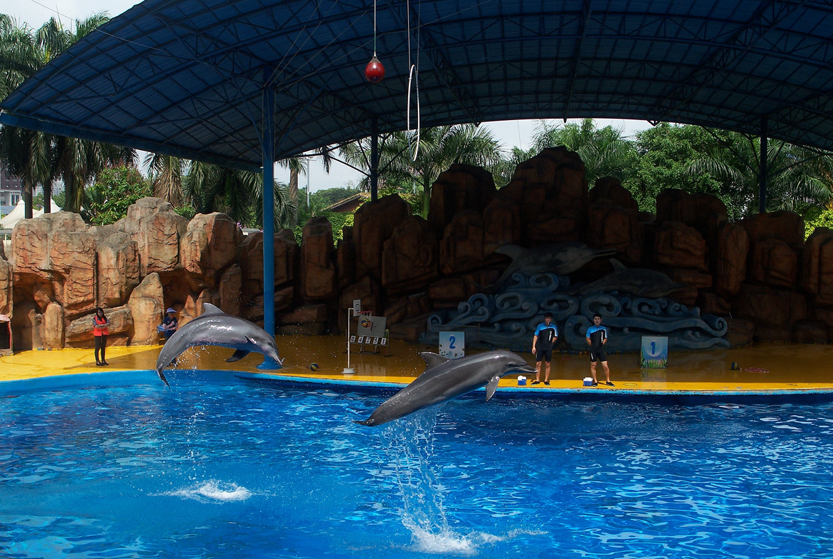 海洋馆里的表演（多图））