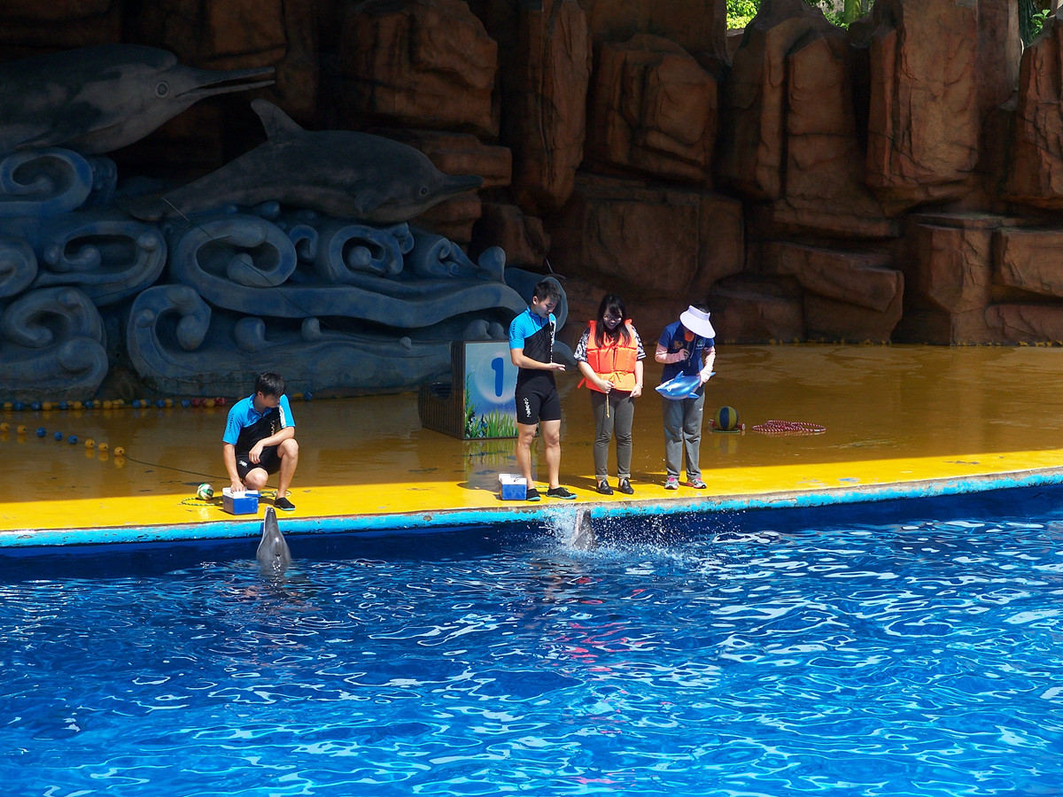 海洋馆里的表演（多图））