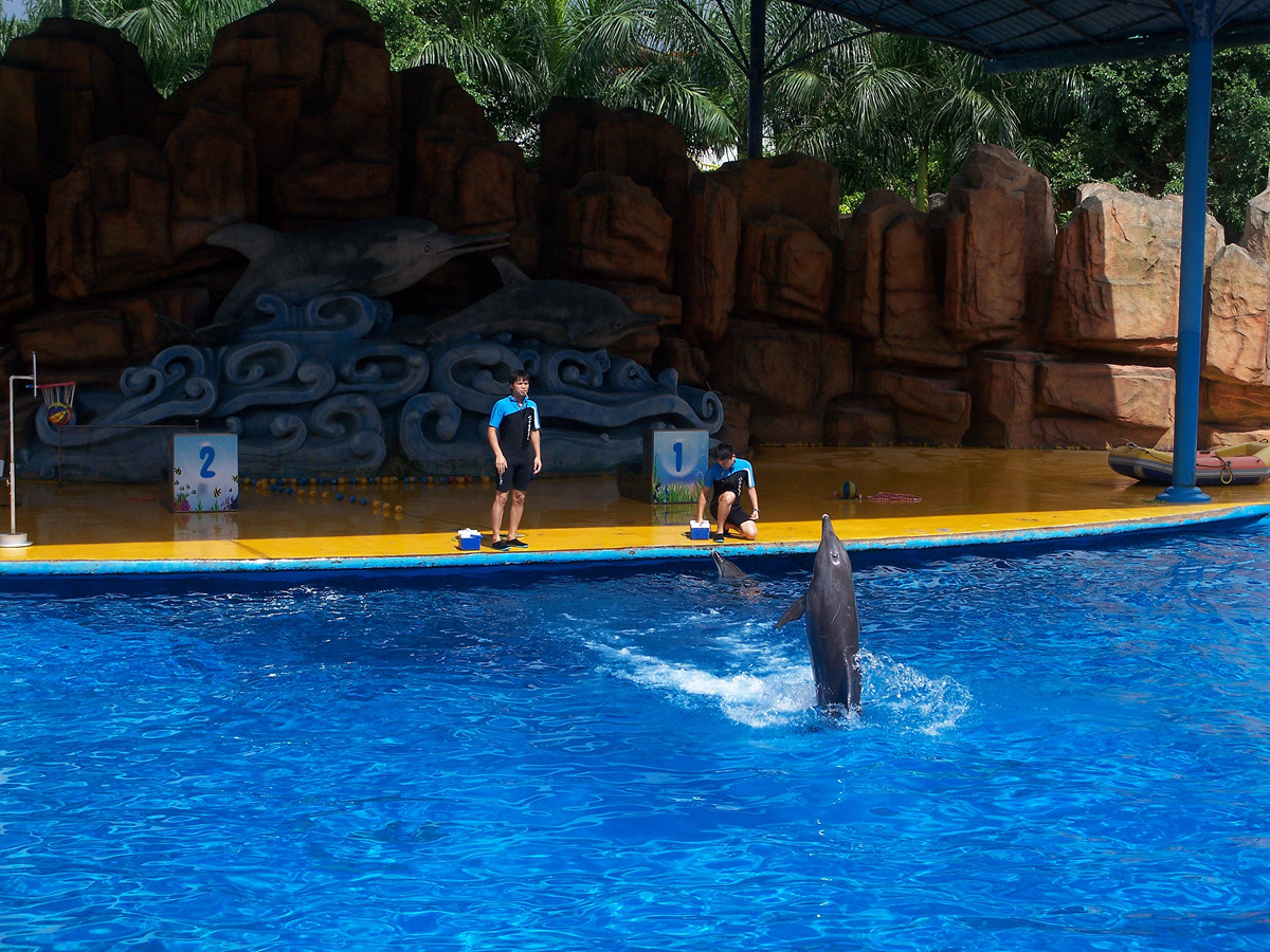 海洋馆里的表演（多图））