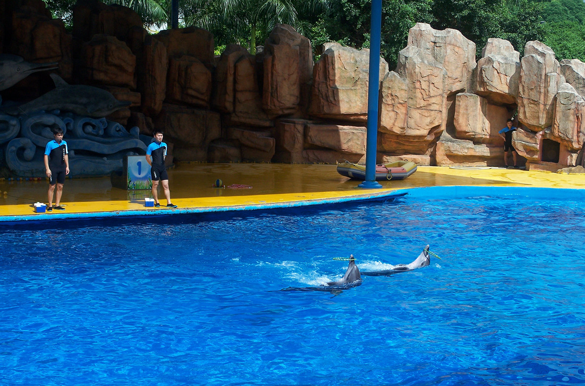 海洋馆里的表演（多图））