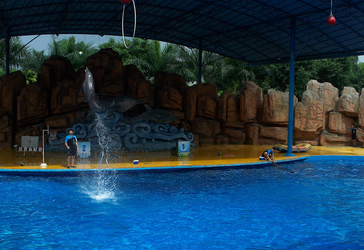 海洋馆里的表演（多图））