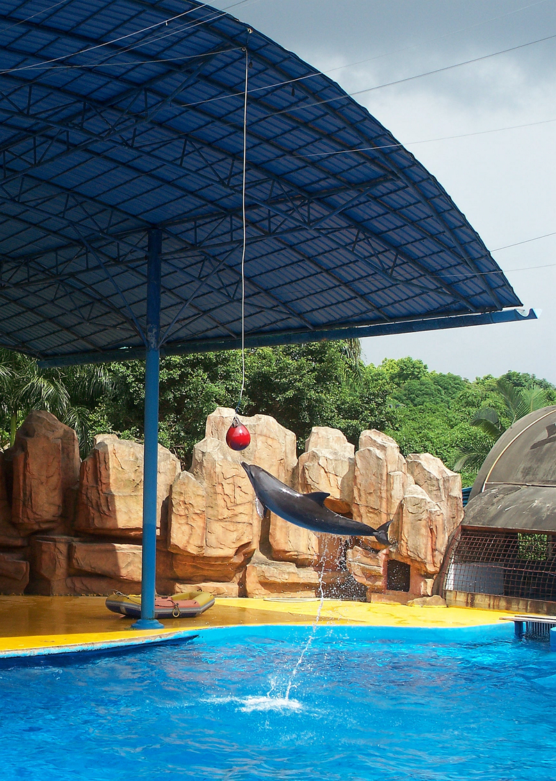 海洋馆里的表演（多图））