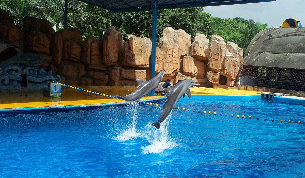 海洋馆里的表演（多图））