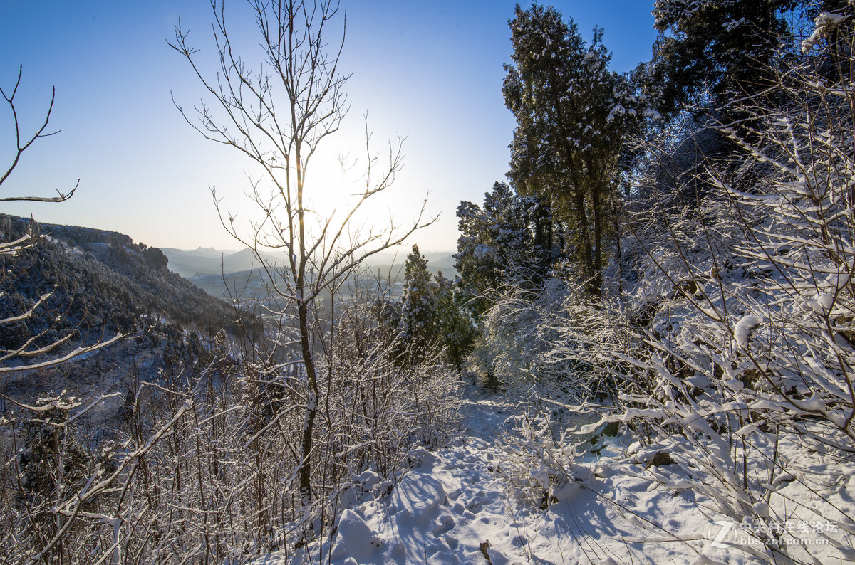 过年巧遇一场雪