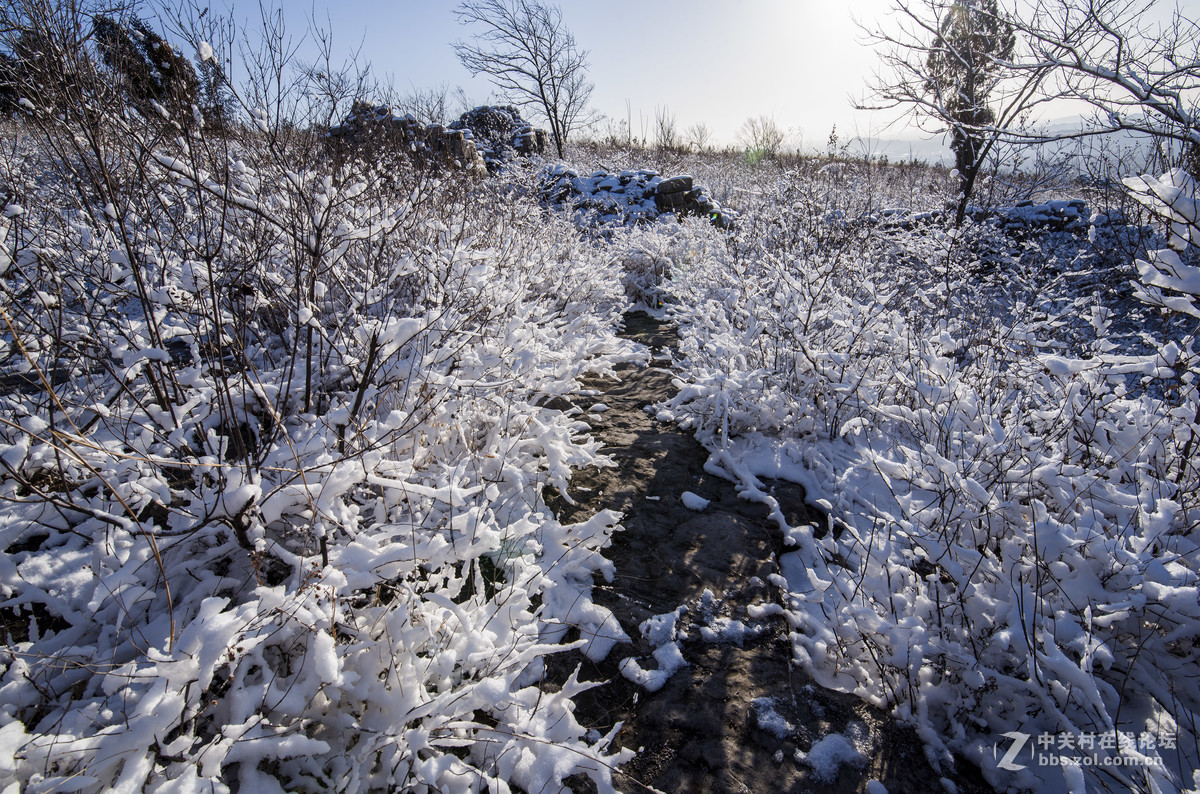 过年巧遇一场雪