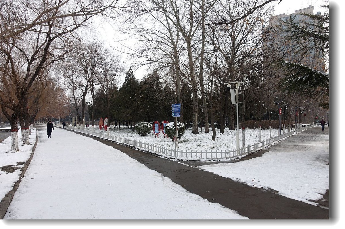 【雪中拍】-续