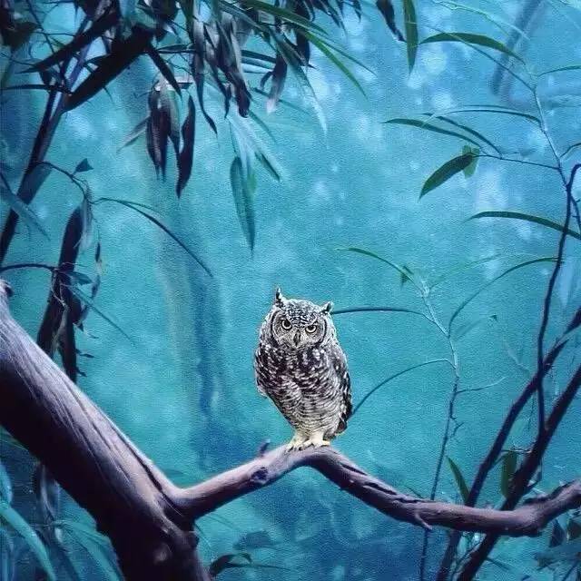 #别人家的iPhone 后期#  帅呆了！！！