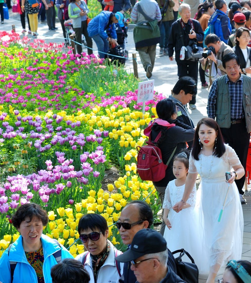 香山植物园看花