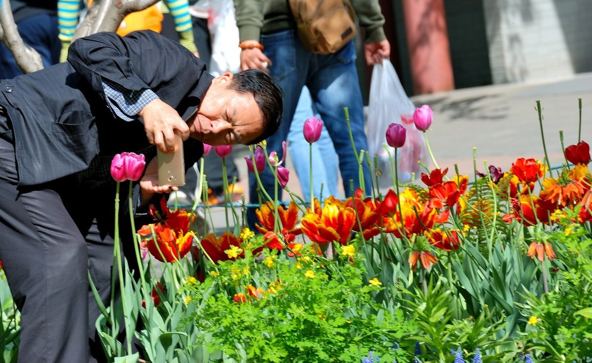 香山植物园看花