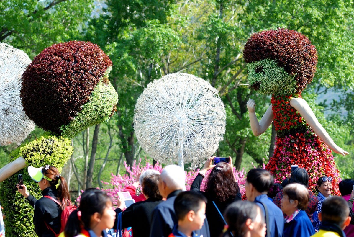 香山植物园看花