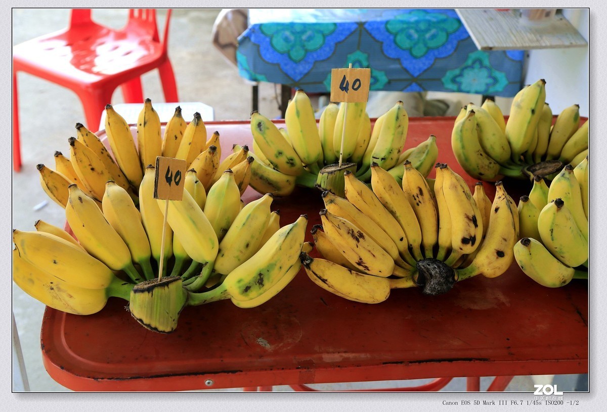 泰国清莱观光旅游之四————一眼看三国的金三角