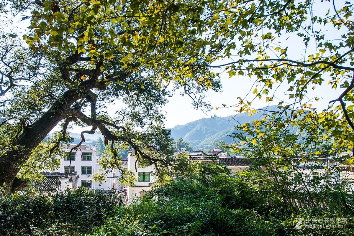 婺源晓起村2015.10.18.