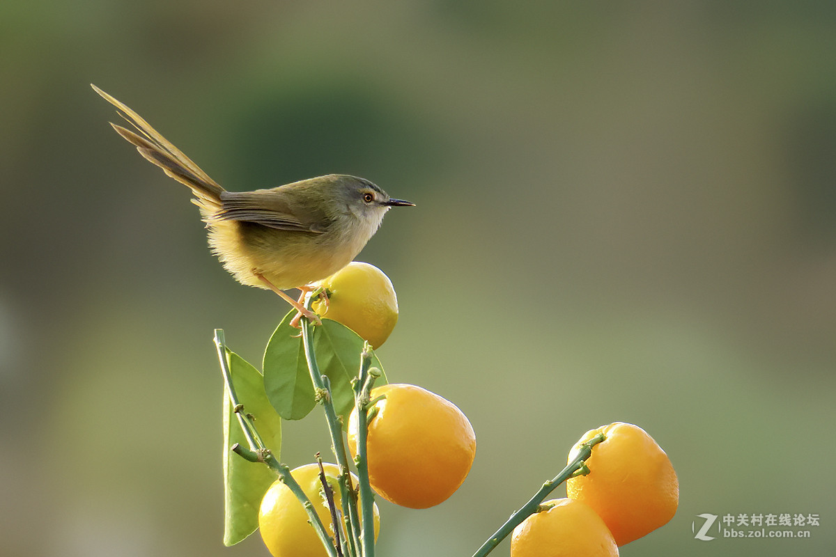 #版主坐堂#【天津版块】2016年3月金钻精华汇总