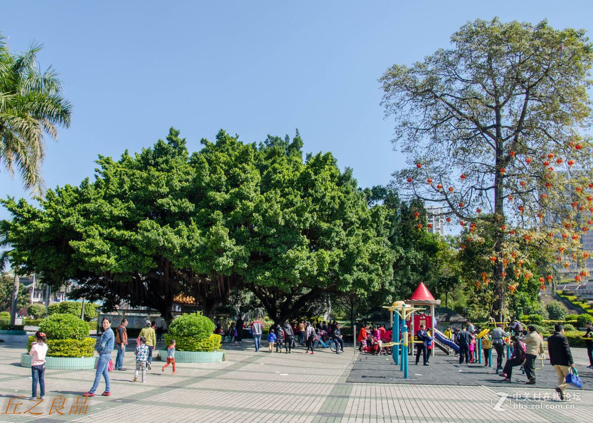 春光明媚的莞城文化广场