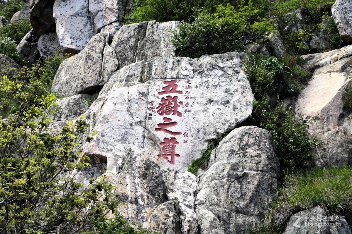 2016表白日与泰山奶奶亲密接触一把