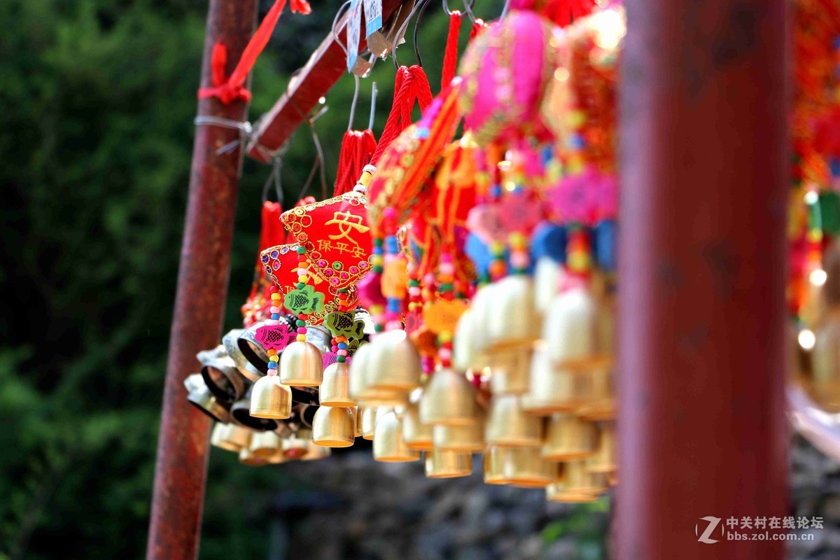 2016表白日与泰山奶奶亲密接触一把