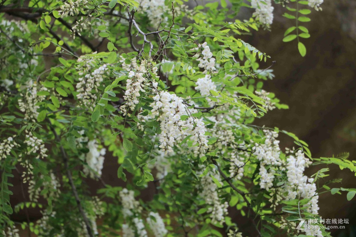 2016表白日与泰山奶奶亲密接触一把