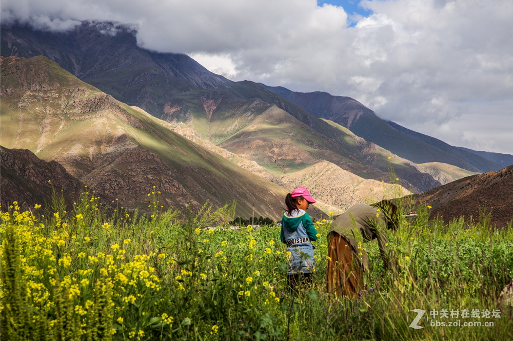 青藏线之三——唐古拉山