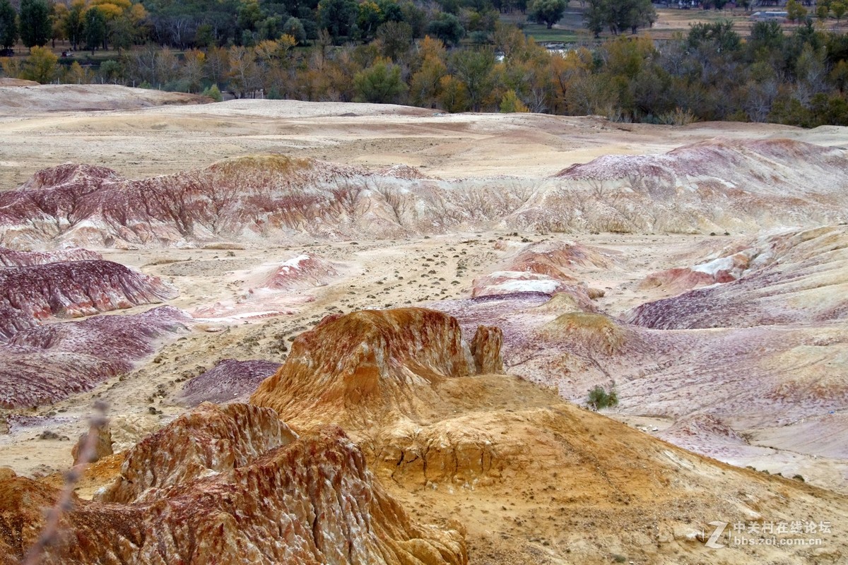 布尔津五彩滩外的彩岩
