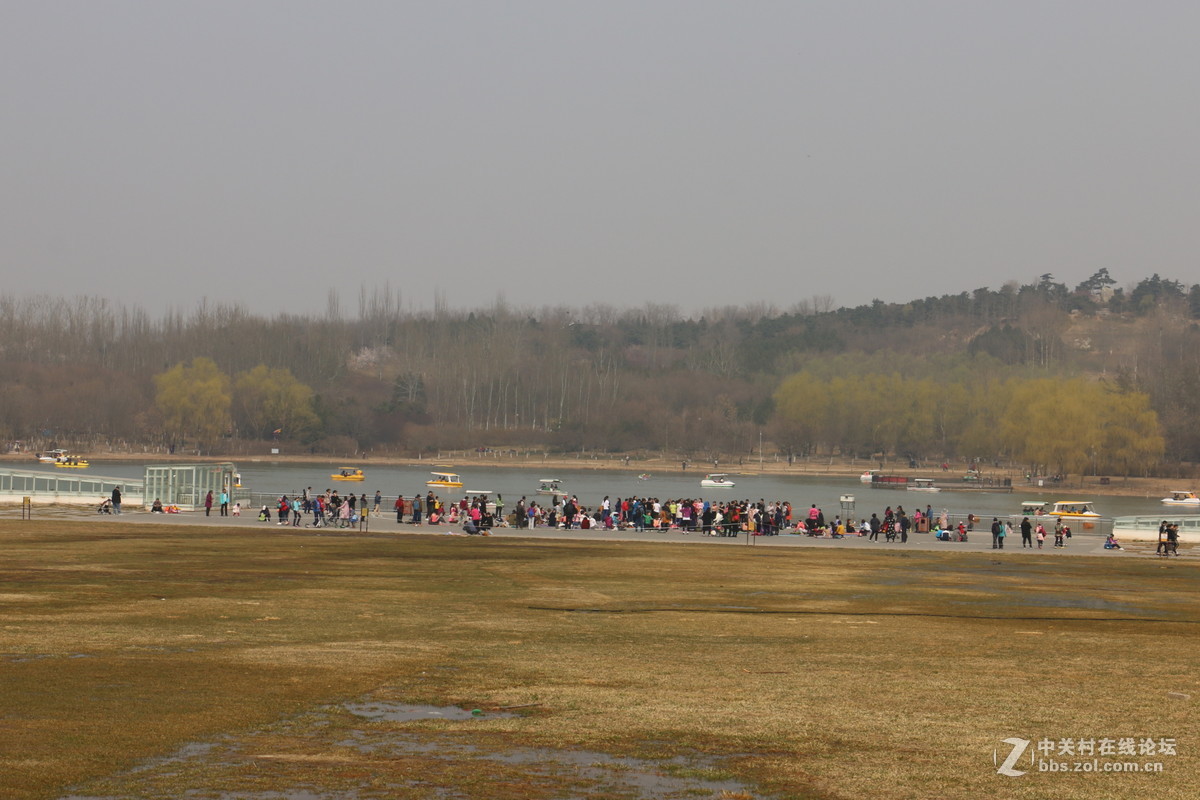 奥林匹克公园-春