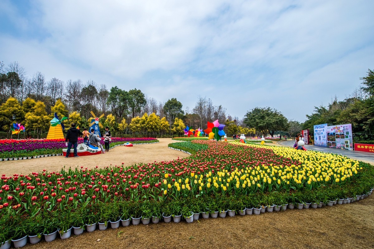 春节花场随拍续