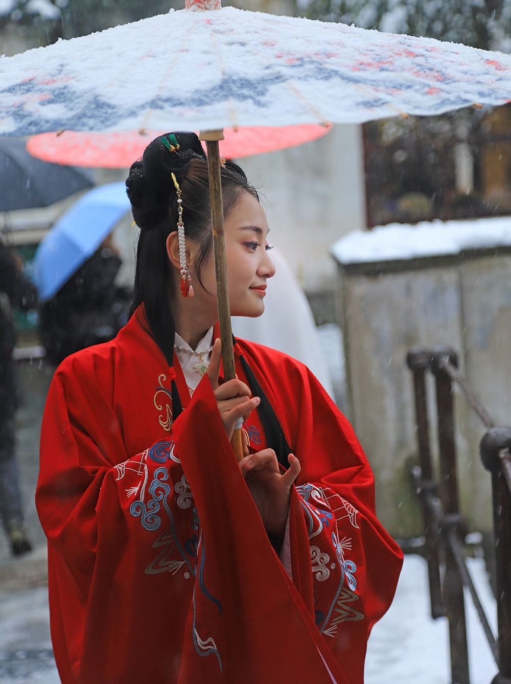 江南雪佳人