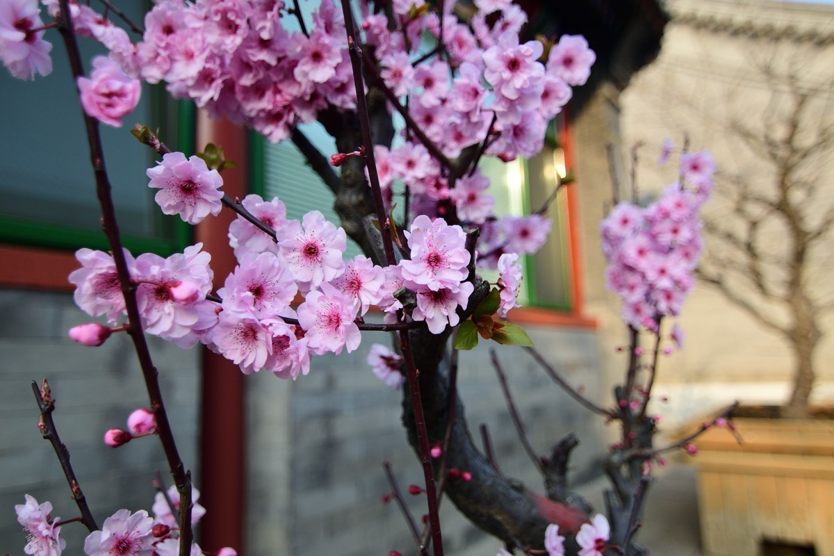 明城墙遗址公园