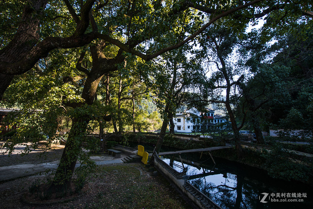 婺源晓起村2015.10.18.