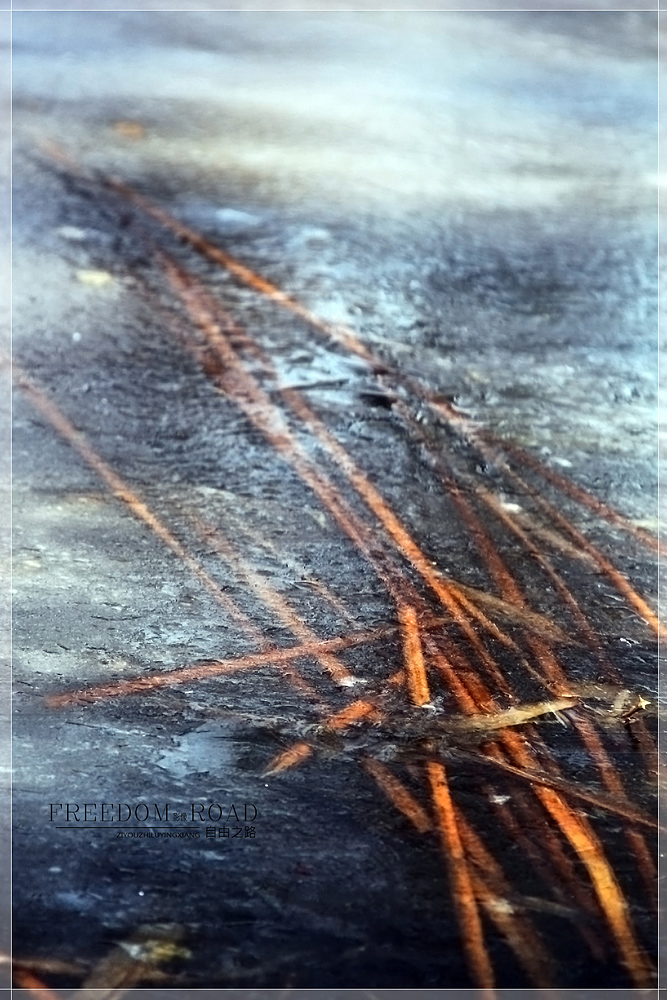 #版主坐堂#【天津版块】2016年3月金钻精华汇总