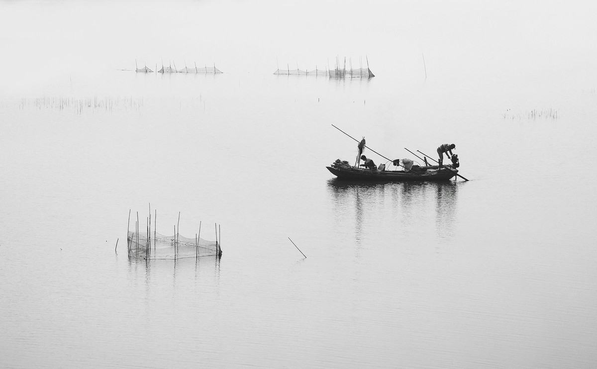 #版主坐堂#【天津版块】2016年3月金钻精华汇总