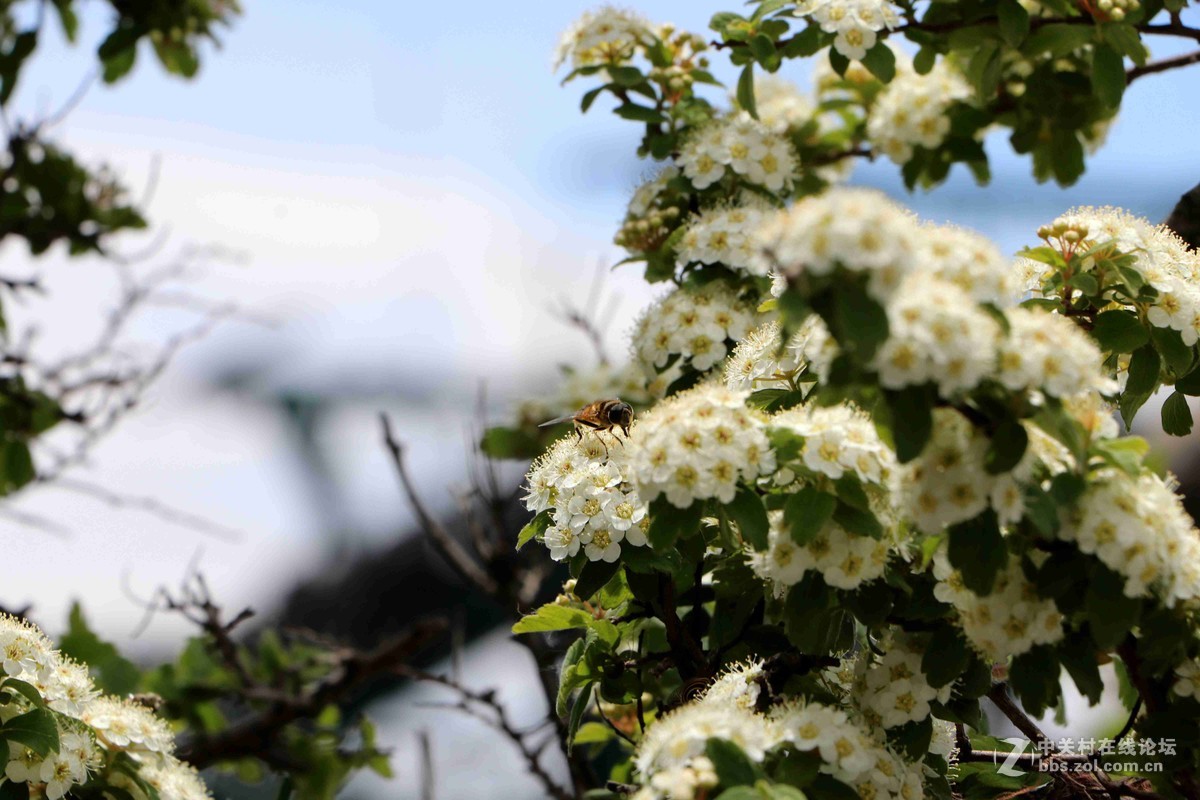 2016表白日与泰山奶奶亲密接触一把