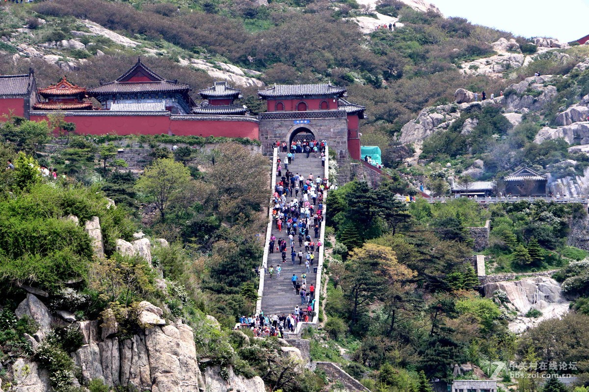 2016表白日与泰山奶奶亲密接触一把